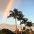 Jennie Harter's profile image