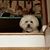 Kimberly A. Garriott's profile image