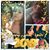 Darlene Murrieta's profile image
