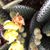 Vicki Smith's profile image