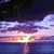 David Lehrer's profile image