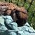 Claire Schlobohm's profile image
