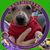 Rita Seuffert Gaus's profile image