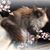 Jenn Hansen's profile image
