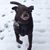 Julie Murphy Burke's profile image