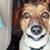 Patty Hodges's profile image