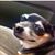 Terri Lynn Daniels's profile image
