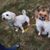 Karen M Shelley's profile image