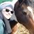 Kris Surbaugh's profile image