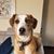 Lisa Smith's profile image