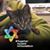 Vicky Parkes's profile image
