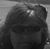 Valerie Friskey's profile image