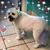 Colleen Soleck's profile image