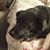 Pamela Nyquist's profile image