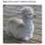 Claudia Blanco-Gomez's profile image
