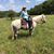 Beth Schuman's profile image