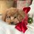 Carol Maxwell Miller's profile image