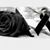 Max Gutierrez's profile image