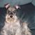 William Jobe's profile image