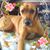 Marie Povilaitis's profile image