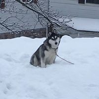 Judy Schneider's profile image