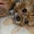 Frank Krystock Jr.'s profile image