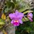 LaTonnia Chambers Reetz's profile image
