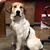 Shelly LeGrand's profile image