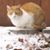 Erin O'Connell's profile image