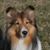 Bonnie Frank's profile image