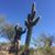 Chuck Castlewood's profile image