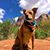 Jodi Walker's profile image