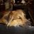 Tamara Glass Maddux's profile image