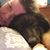 Sarah Tompkins's profile image