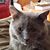 Jim Davis's profile image