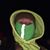 Jeremy McCoy's profile image