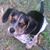 Jeff Lyman's profile image