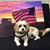Janelle Bleske's profile image