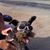 Lila M Chappell's profile image