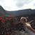 Kait Wilke's profile image