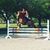 Dawn Willey's profile image