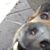 Janice Nash-Cameron's profile image