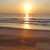 Barb Kelly-Childs's profile image