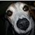 Bea Ron's profile image