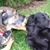 Bev Cohen Saiz's profile image