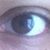 Tammy Prickett's profile image