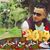 Omar Elafricey's profile image