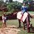 Ambri Pukhraj's profile image