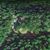 Vickie Fitzpatrick's profile image