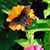 Wendy Kerr Dore's profile image